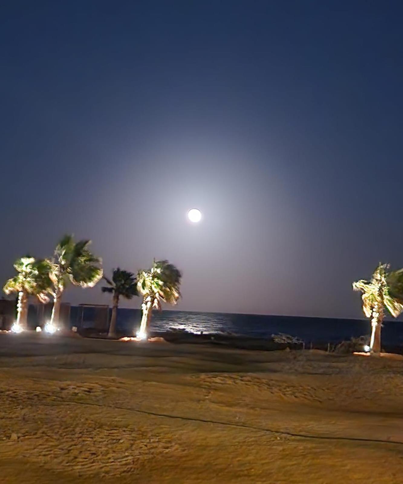 Mangroovy- 1br Imposing, Relaxing & Sea View *